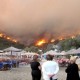 השריפה באי כיוס, כילתה יותר מ-40% מעצי המסטיק באי